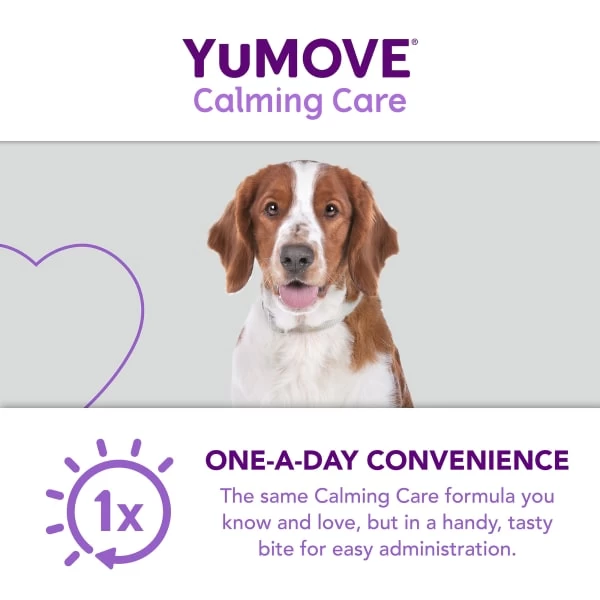 YuMOVE One-A-Day Calming Care Supplement For Medium Dogs 10 YuMOVE One-A-Day Calming Care Supplement For Medium Dogs - Image 8