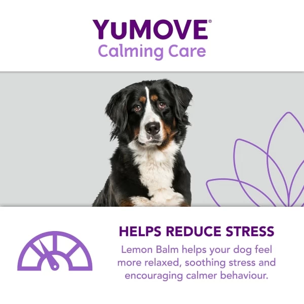 YuMOVE One-A-Day Calming Care Supplement For Medium Dogs 8 YuMOVE One-A-Day Calming Care Supplement For Medium Dogs - Image 6