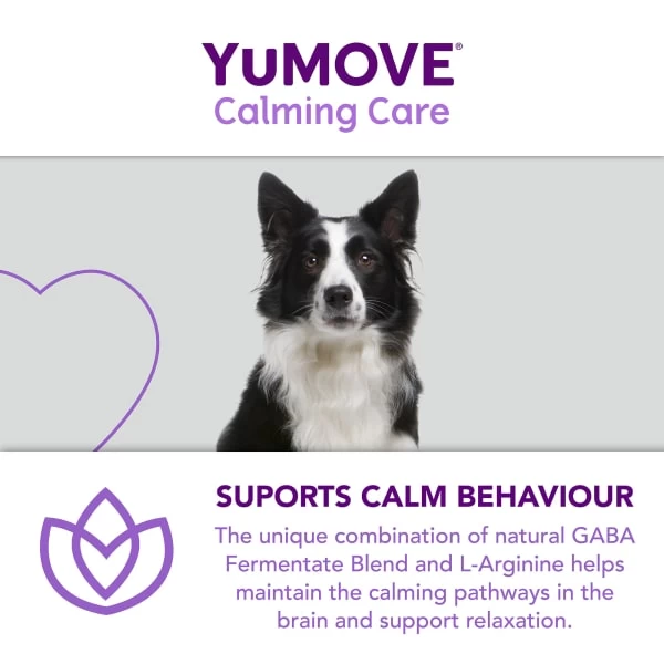 YuMOVE One-A-Day Calming Care Supplement For Medium Dogs 9 YuMOVE One-A-Day Calming Care Supplement For Medium Dogs - Image 7