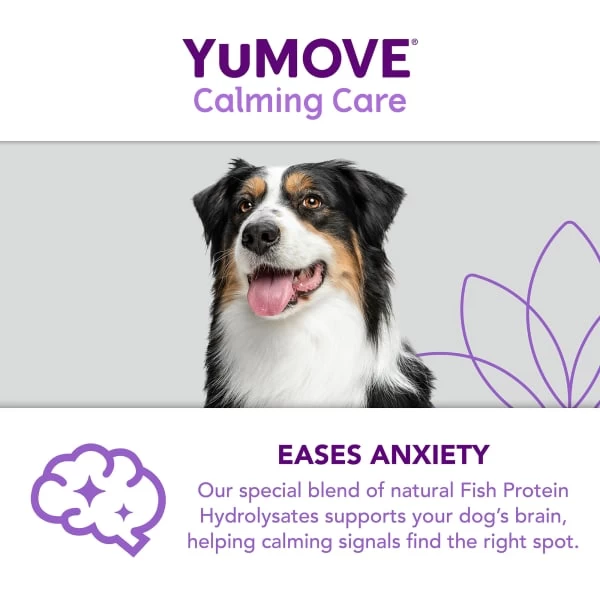 YuMOVE One-A-Day Calming Care Supplement For Medium Dogs 6 YuMOVE One-A-Day Calming Care Supplement For Medium Dogs - Image 4