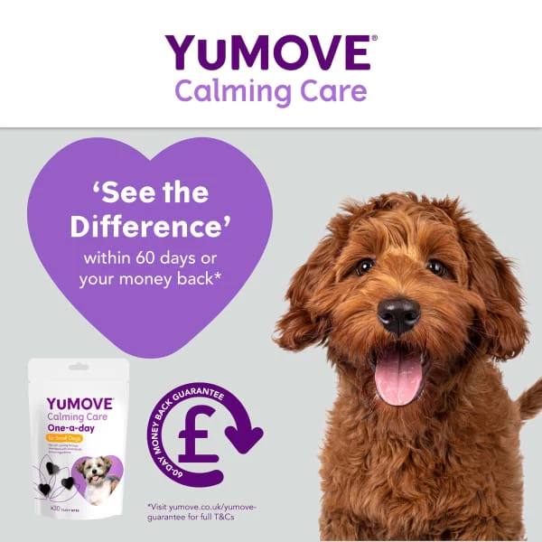 YuMOVE One-A-Day Calming Care Supplement For Small Dogs 7 YuMOVE One-A-Day Calming Care Supplement For Small Dogs - Image 5