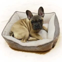 Rosewood 40 Winks Luxury Truffle Dog Bed