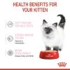 Royal Canin Kitten In Loaf Wet Cat Food 1 Royal Canin Kitten In Loaf Wet Cat Food -pet shop I9522544 en 04