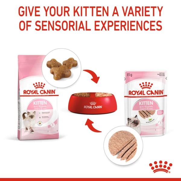 Royal Canin Kitten In Loaf Wet Cat Food 6 Royal Canin Kitten In Loaf Wet Cat Food - Image 4
