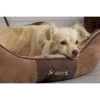 Scruffs Chester Box Bed Chocolate Brown -pet shop I9522612 04