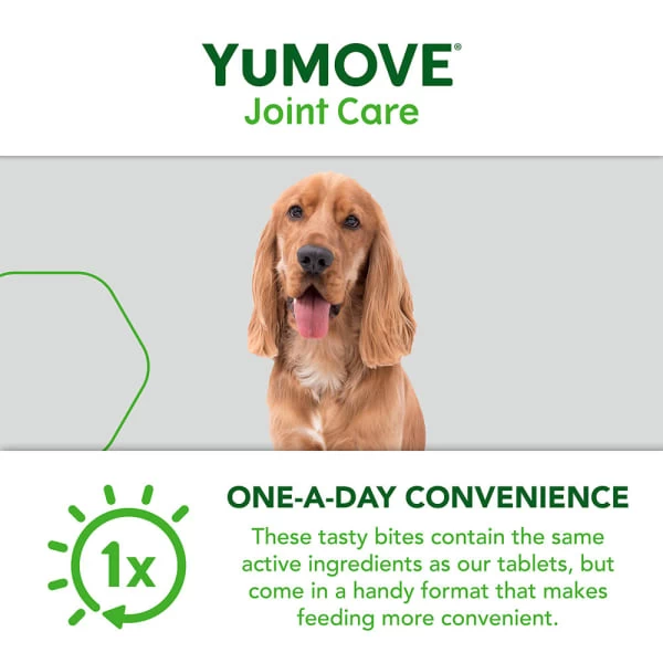 Yumove Chewies One A Day Dog Joint Supplement For Small Dog 10 Yumove Chewies One A Day Dog Joint Supplement For Small Dog - Image 8
