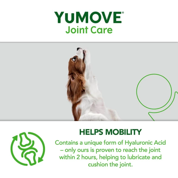 Yumove Chewies One A Day Dog Joint Supplement For Small Dog 9 Yumove Chewies One A Day Dog Joint Supplement For Small Dog - Image 7