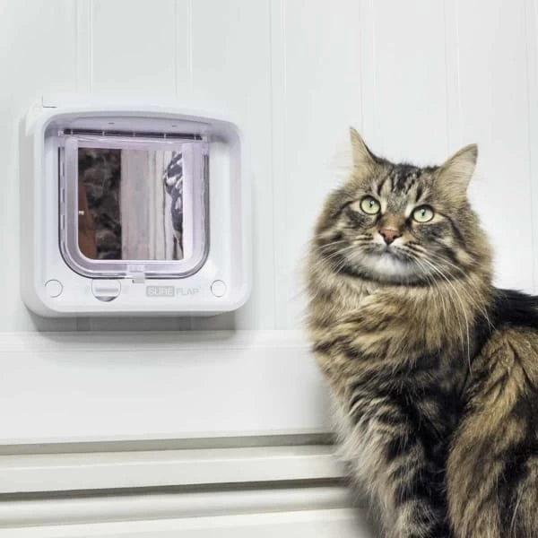 SureFlap Microchip Cat Flap Connect 9 SureFlap Microchip Cat Flap Connect - Image 7