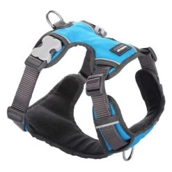 Red Dingo Padded Dog Harness In Turquoise -pet shop I9530462
