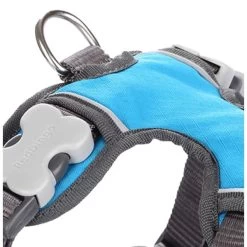 Red Dingo Padded Dog Harness In Turquoise -pet shop I9530462 01