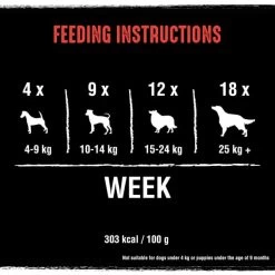 Crave Grain-free Protein Bars Dog Treats - Beef -pet shop I9530842 en 06