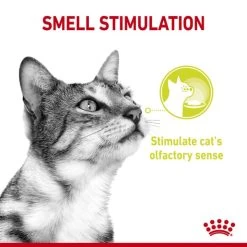 Royal Canin Sensory Smell Wet Cat Food In Jelly -pet shop I9543282 en 04
