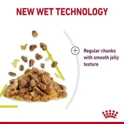 Royal Canin Sensory Smell Wet Cat Food In Jelly -pet shop I9543282 en 06