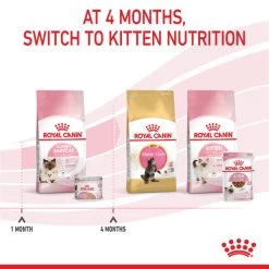Royal Canin Mother And Babycat Wet Cat Food - Mousse -pet shop I9577309 en 10