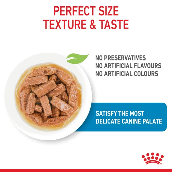 Royal Canin Maxi Puppy Wet Dog Food - Chunks In Gravy 8 Royal Canin Maxi Puppy Wet Dog Food - Chunks In Gravy - Image 6