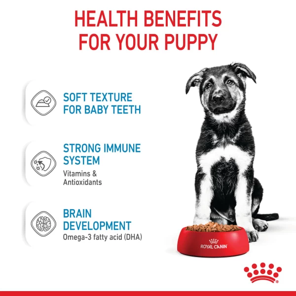 Royal Canin Maxi Puppy Wet Dog Food - Chunks In Gravy 5 Royal Canin Maxi Puppy Wet Dog Food - Chunks In Gravy - Image 3