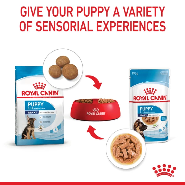 Royal Canin Maxi Puppy Wet Dog Food - Chunks In Gravy 4 Royal Canin Maxi Puppy Wet Dog Food - Chunks In Gravy - Image 2