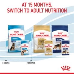 Royal Canin Maxi Puppy Wet Dog Food - Chunks In Gravy