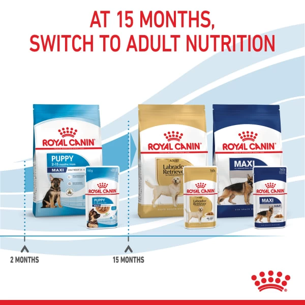 Royal Canin Maxi Puppy Wet Dog Food - Chunks In Gravy 3 Royal Canin Maxi Puppy Wet Dog Food - Chunks In Gravy