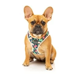 FuzzYard Dinosaur Land Step-In Dog Harness -pet shop I9602338 en 02