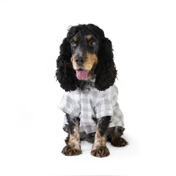 Rosewood Christmas Pyjamas Adult Dog Coat 5 Rosewood Christmas Pyjamas Adult Dog Coat - Image 3