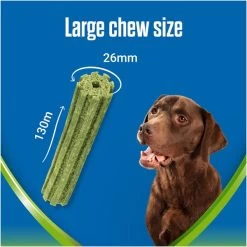 Dentalife ActivFresh Dental Chew Large Dog Treats 31 Dentalife ActivFresh Dental Chew Large Dog Treats -pet shop I9602435 en 08