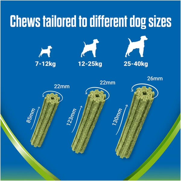Dentalife ActivFresh Dental Chew Large Dog Treats 3 Dentalife ActivFresh Dental Chew Large Dog Treats