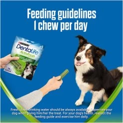 Dentalife ActivFresh Dental Chew Medium Dog Treats 27 Dentalife ActivFresh Dental Chew Medium Dog Treats -pet shop I9602436 en 10