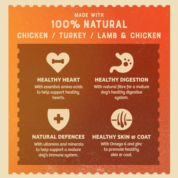 James Wellbeloved Gluten-free Senior Wet Dog Food - Mixed Selection In Loaf 8 James Wellbeloved Gluten-free Senior Wet Dog Food - Mixed Selection In Loaf - Image 6