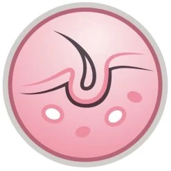 Purina Pro Plan Acti Protect Derma Care Small And Mini Adult Dry Dog Food - Salmon -pet shop I9629278 05