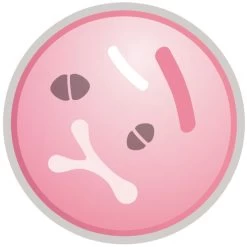 Purina Pro Plan Acti Protect Derma Care Small And Mini Adult Dry Dog Food - Salmon -pet shop I9629278 07