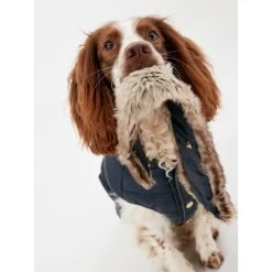 Joules Cherington Quilted Dog Coat -pet shop I9637394 en 12