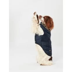 Joules Cherington Quilted Dog Coat -pet shop I9637394 en 14