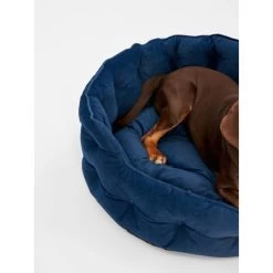 Joules Chesterfield Dog Bed - Navy -pet shop I9637396 en 12