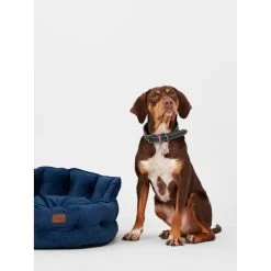 Joules Chesterfield Dog Bed - Navy -pet shop I9637396 en 14