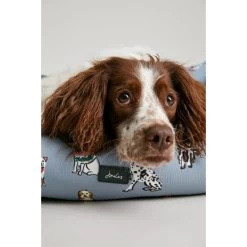 Joules Rainbow Box Dog Bed