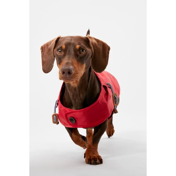Joules Dog Raincoat - Red 6 Joules Dog Raincoat - Red - Image 4