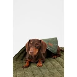 Joules Bee Print Dog Blanket -pet shop I9637422 en 12