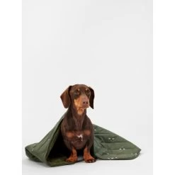 Joules Bee Print Dog Blanket -pet shop I9637422 en 13