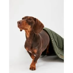 Joules Bee Print Dog Blanket -pet shop I9637422 en 14