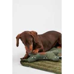 Joules Bee Print Dog Blanket -pet shop I9637422 en 17