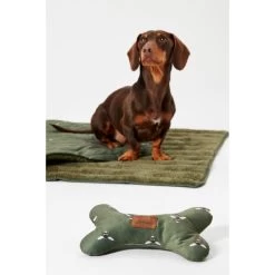 Joules Bee Print Dog Blanket -pet shop I9637422 en 19