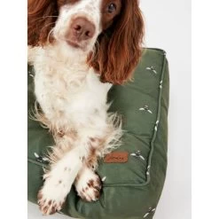 Joules Bee Print Dog Mattress -pet shop I9637424 en 12