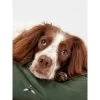 Joules Bee Print Dog Mattress -pet shop I9637424 en 13