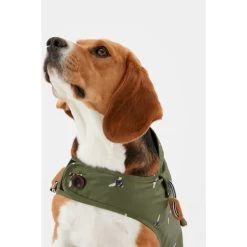Joules Bee Print Dog Raincoat 18 Joules Bee Print Dog Raincoat -pet shop I9637425 en 12