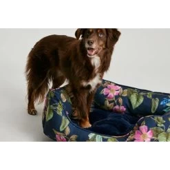 Joules Floral Box Dog Bed 23 Joules Floral Box Dog Bed -pet shop I9637426 en 07