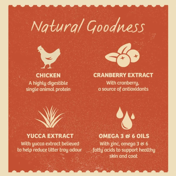 James Wellbeloved Grain-free Adult Wet Cat Food In Pouches - Chicken In Jelly 6 James Wellbeloved Grain-free Adult Wet Cat Food In Pouches - Chicken In Jelly - Image 4