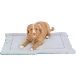 Trixie Junior Lying Dog Mat - Light Grey/Mint -pet shop I9658330 en 05