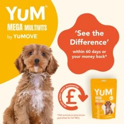 YuM MultiVits 6 In 1 Young Dog Treats -pet shop I9671285 en 07