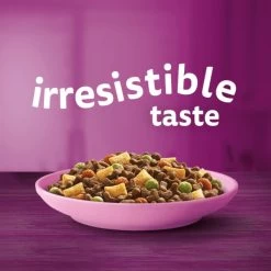 Whiskas 2-12Mths Cat Complete Dry With Chicken -pet shop I9673297 en 10